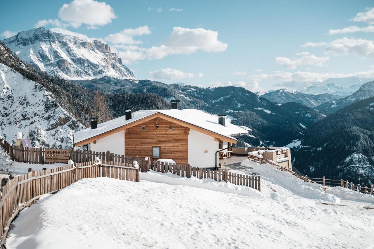 サン・マルティーノ・イン・バディーアAlpinus Agriturismアパートメント エクステリア 写真
