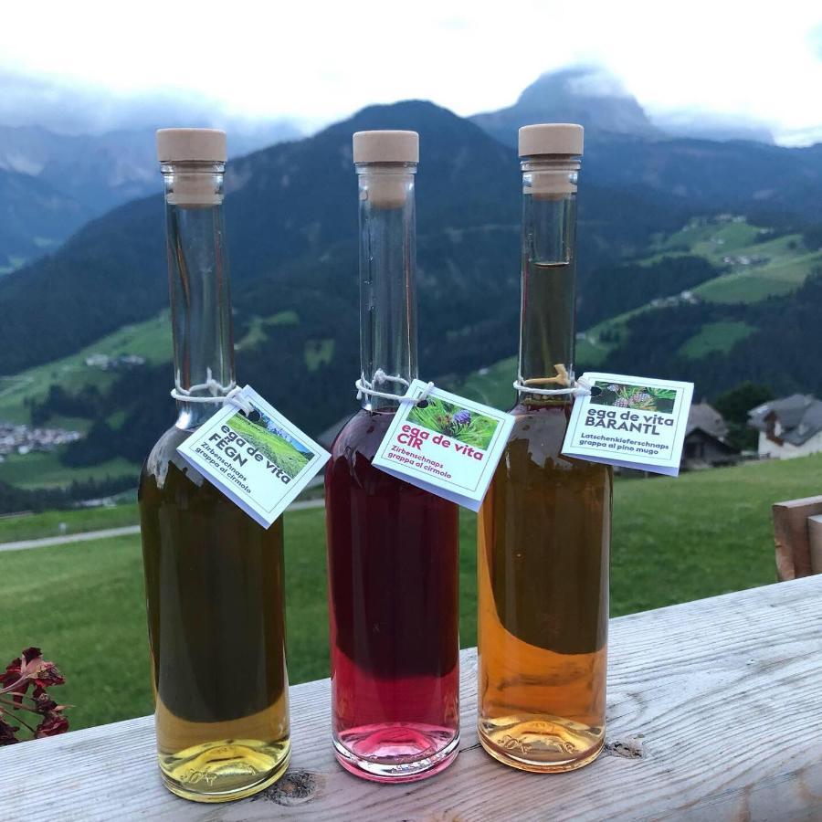 サン・マルティーノ・イン・バディーアAlpinus Agriturismアパートメント エクステリア 写真