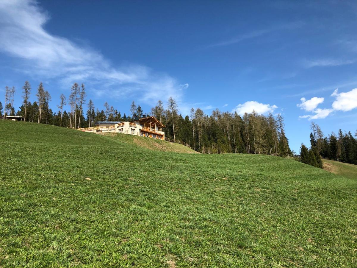 サン・マルティーノ・イン・バディーアAlpinus Agriturismアパートメント エクステリア 写真